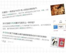 者该当充实调研